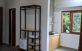 Ubud Dream